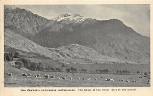 uk42270 home of the finest lamb in the world new zealand