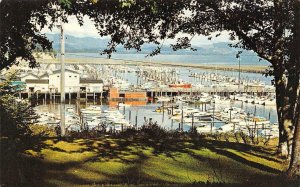 ILWACO, WA Washington  PORT BASIN  Small Boat Marina~Columbia River  Postcard
