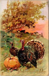 Turkey Pumpkins Good Wishes Tuck's Thanksgiving Day Postcard embossed 1915