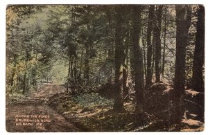 No. Bath, Me., Among The Pines, Brunswick Road