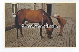 r1380 - Queen Elizabeth with one of her horses - postcard