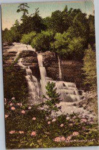 Postcard NY Rochester Lake Minnewaska waterfall handcolored Ulster county