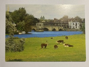 UNUSED  UK POSTCARD - ST IVES CAMBRIDGESHIRE    (KK4126) 