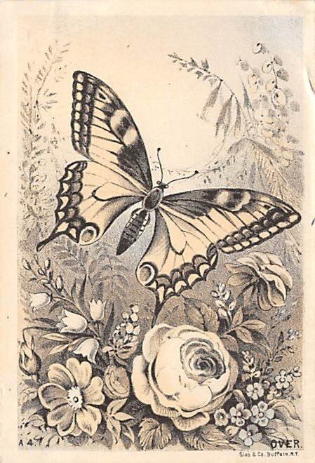 Butterfly and Flower Trade Card, Non Butterflies Unused glue on back side