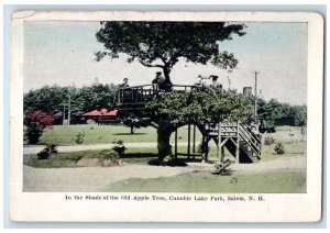 c1910's In The Shade Of Old Apple Tree Canobie Lake Park Salem NH Postcard