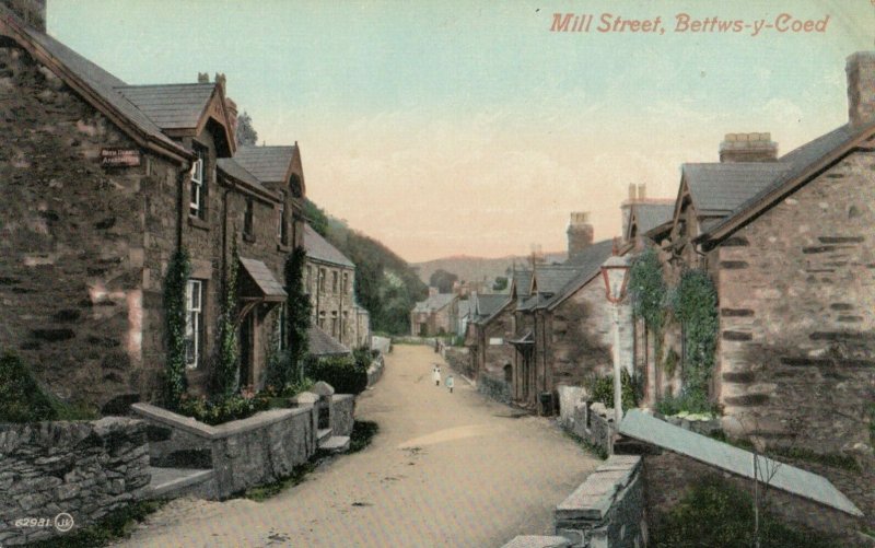 Bettws-y-Coed , WALES, 1900-10s ; Mill Street