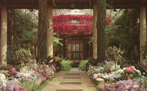 Vintage Postcard Longwood Garden Summer Conservatory Kennett Sq. Pennsylvania PA