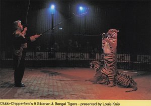 Chipperfield's Bengal Lion Tamer Show Trainer Advertising PB Postcard Photo
