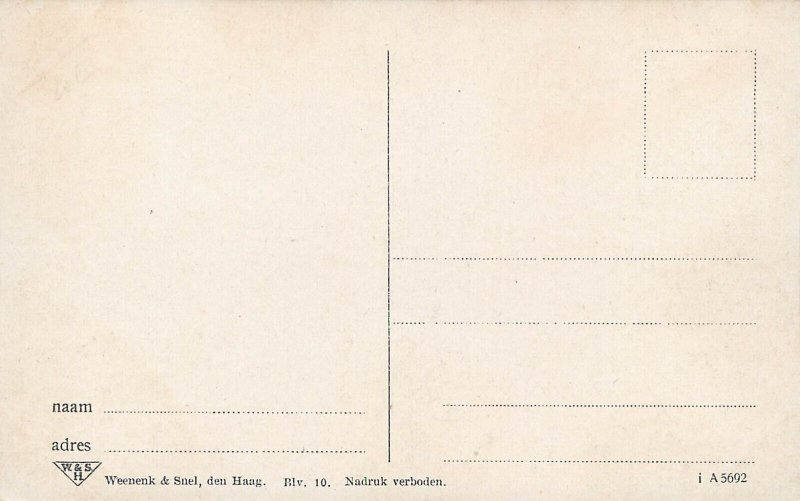 Tulips flowers Netherlands vintage postcard