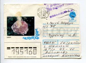 412872 Kazakhstan RUSSIA 1993 Golubyatnikova peony flower Provisional stamp