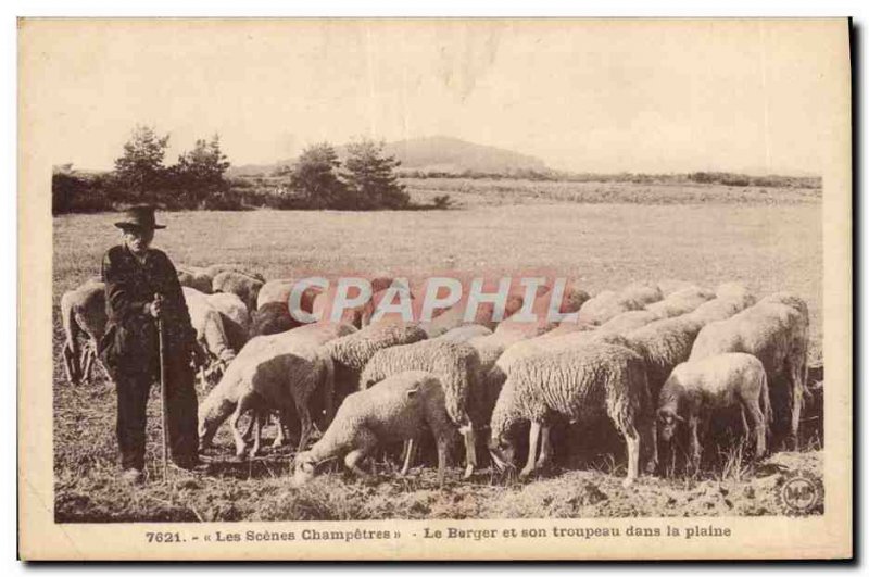 Old Postcard Folklore The shepherd and his flock in plain Sheep