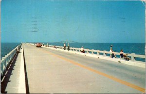 Fishing On Sunshine Skyway Bridge St Petersburgh Florida 1957