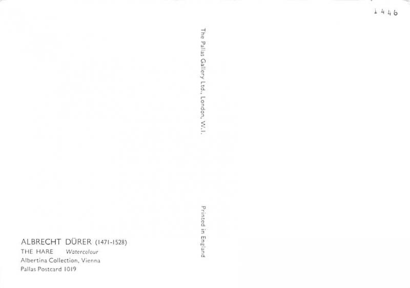 Albrecht Durer - The Hare