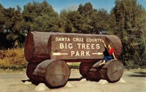 Park Entrance BIG TREES PARK Santa Cruz County Roadside c1950s Vintage Postcard