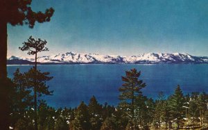 Vintage Postcard Lake Tahoe Fabulous Blue Lake Big Water 