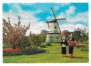 Netherlands Holland Flowers Windmills Tulips Postcard 4X6 