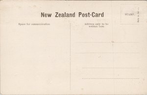 Public Gardens Museum & College NZ New Zealand Unused Postcard E70