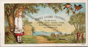 Vintage Ayer's Cherry Pectoral Advertising Trade Card PB23