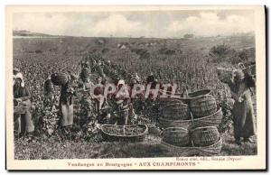 Old Postcard Wine Harvest in Burgundy Aux Champimonts