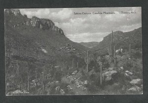 Sabino Canyon