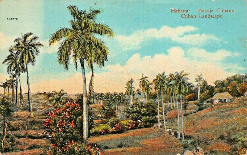 HABANA HAVANA CUBA~PAISAJE CUBANO-CUBAN LANDSCAPE-JORDI PUBLISHED 1910s POSTCARD