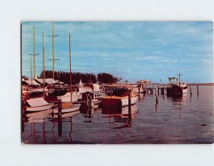 Postcard Fishing Fleet, Florida