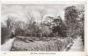 Middlesex Postcard - The Maze - Hampton Court Palace  N406