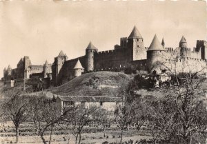 br108514 cite de carcassonne vue generale  france real photo