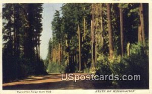 Federation Forest State Park, WA Postcard      ;      Federation Forest State...