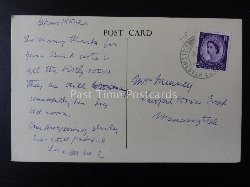 Essex DEDHAM The Essex Rose - Art by Edmund Starling c1965 - Old Postcard 