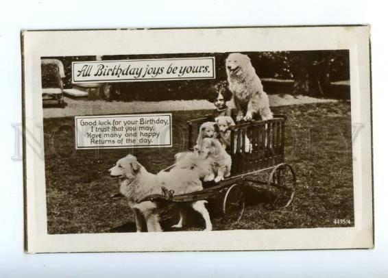 148516 Girl w/ Puppies in Carriage w/ LAIKA Dog Vintage PHOTO