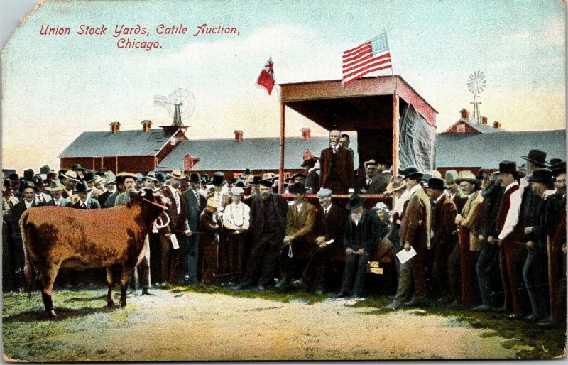 Postcard IL Chicago Union Stock Yards Cattle Auction American Flag C.1910 M20