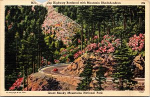 Hwy Great Smoky Mountains National Park Rhododendron Linen Postcard UNP Tichnor 