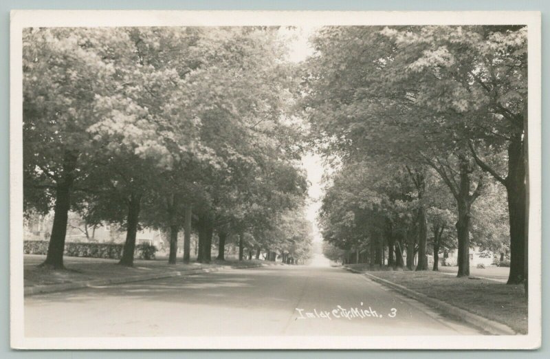 Imlay City Michigan~Home w/Columns~Gingerbread House~Shady Street RPPC 1940s 