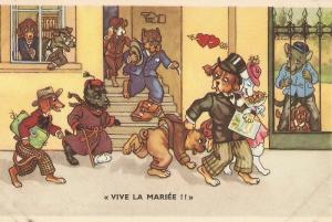 \Dressed Dogs. Vive la Mariee!!\ Humorous Belgian postcard