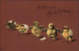 Easter Chicks Hatching Embossed c1900s-10s Postcard