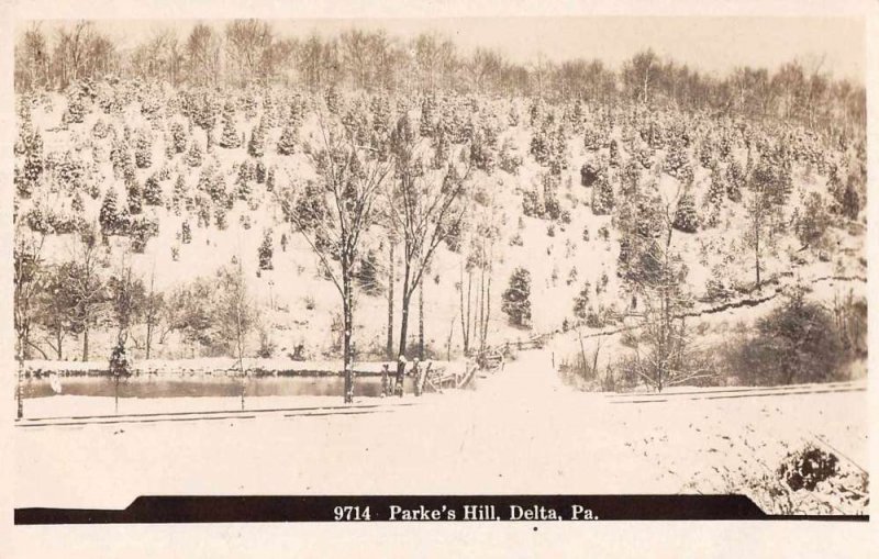 Delta Pennsylvania Parke's Hill Birds Eye View Real Photo Postcard AA1810