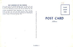 Agrias Butterflies Colorado Springs, Colorado, USA Postcard