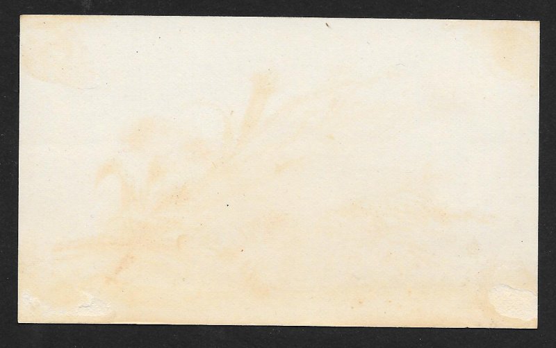 VICTORIAN TRADE CARDS (3) Flowers & Feathers Series 30