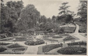 Shropshire Postcard - The Dingle Gardens, Shrewsbury   RS24361
