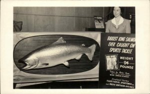 Mounted Fishing Records Biggest King Salmon Juneau Alaska Real Photo Postcard