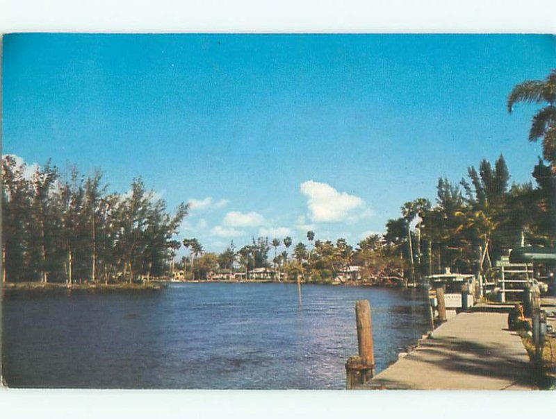 Pre-1980 RIVER SCENE Everglades National Park - Near Miami Florida FL AE6009