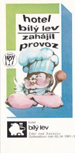 Czechoslovakia Provoz Hotel Bily Lev Vintage Luggage Label sk3640