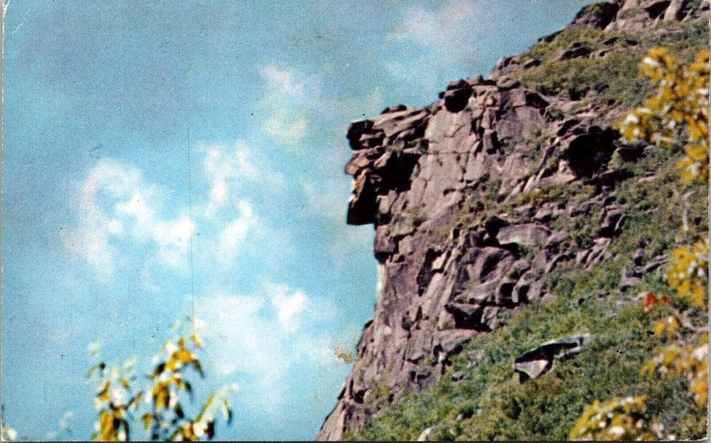 Old Man Mountain Franconia Notch New Hampshire NH Profile Great Stone Postcard 