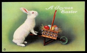 Easter Bunny pushing wheelbarrow Series 753