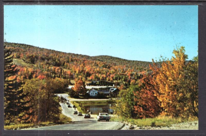 Mt Snow,VT BIN