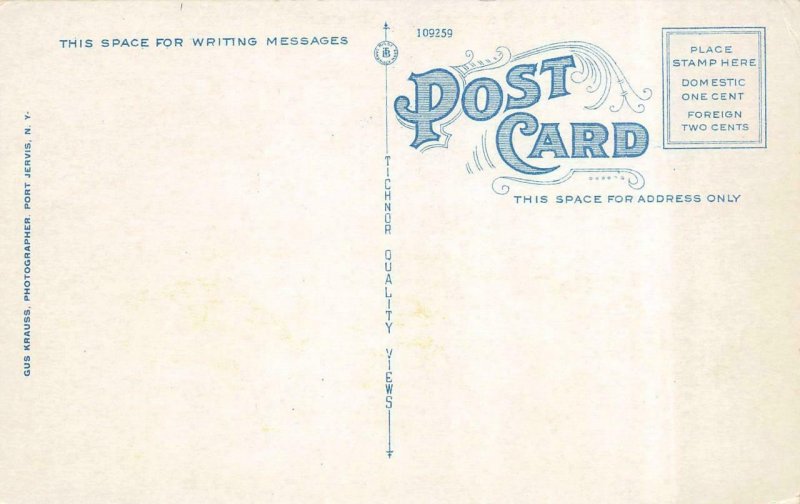 PORT JERVIS, NY New York  PIKE STREET SCENE Library & Elks Club c1920's Postcard