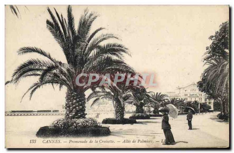 Postcard Old Cannes Walk of the Palm Allee Croisette