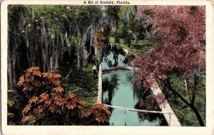 Bit of Scenery Florida Divided Back Vintage Keyboard Antique Unposted Unused