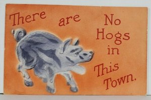 ILL There are NO HOGS IN THIS TOWN Woodstock to Ringwood 1910 Emb Postcard Q11